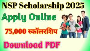 NSP Scholarship Apply Online