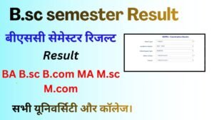 B.sc semester Result 