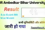 BR Ambedkar Bihar University Result